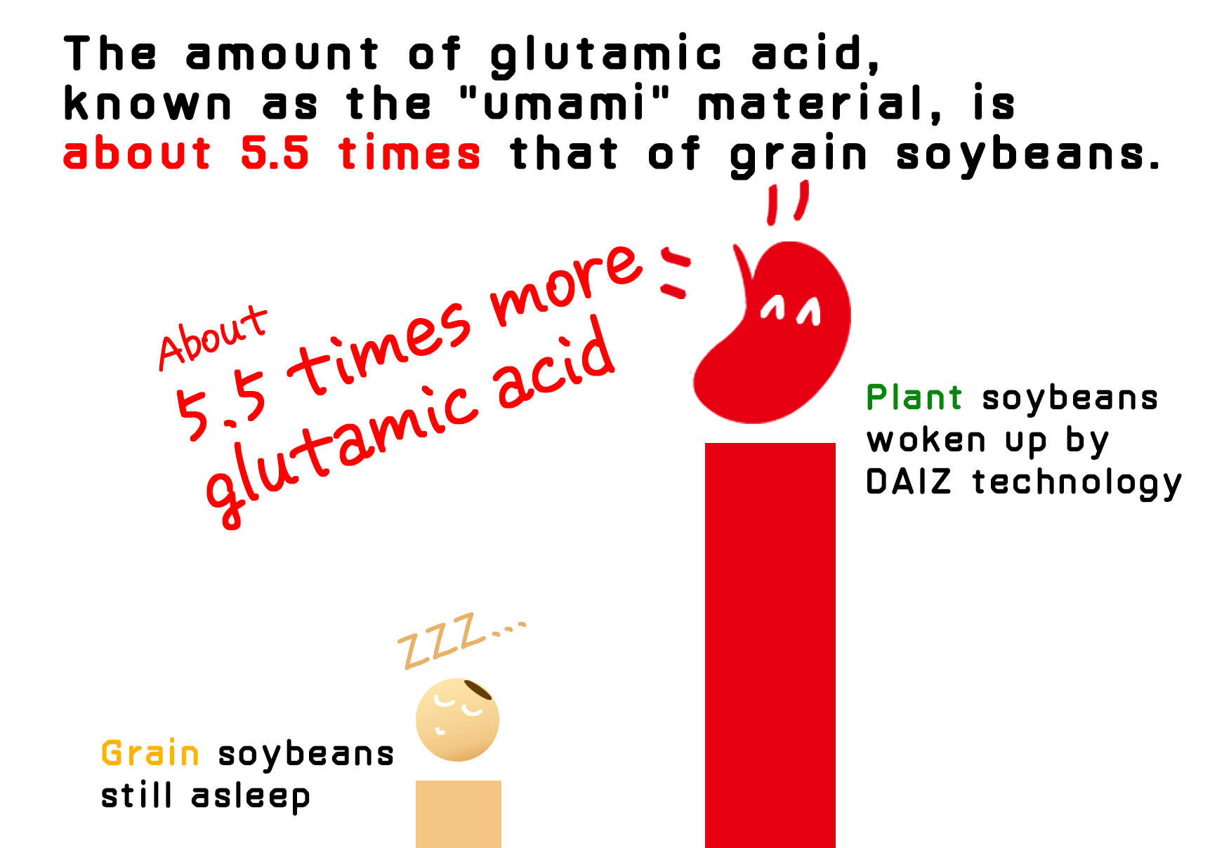 The amount of glutamic acid, knowmos the " Umami"  material, is known as the " umami"  material, is about 5.5 times that of grain soybeans.