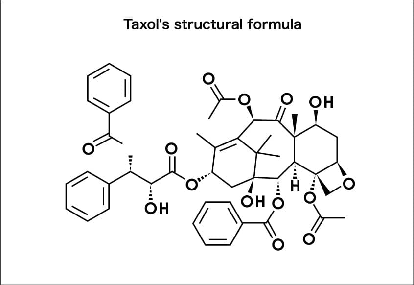 タキソールの構造式