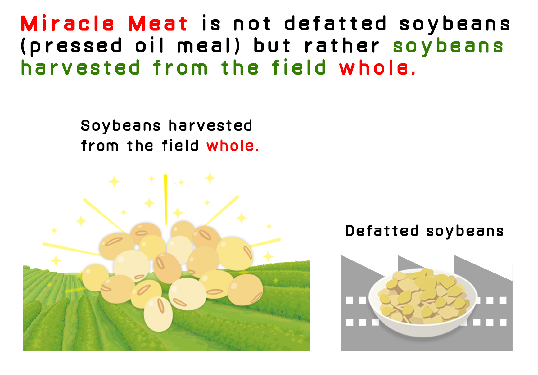 Miracle Meat is not defatted soybeans (pressed oil meal) but rather soybeans harvested from the field whole.