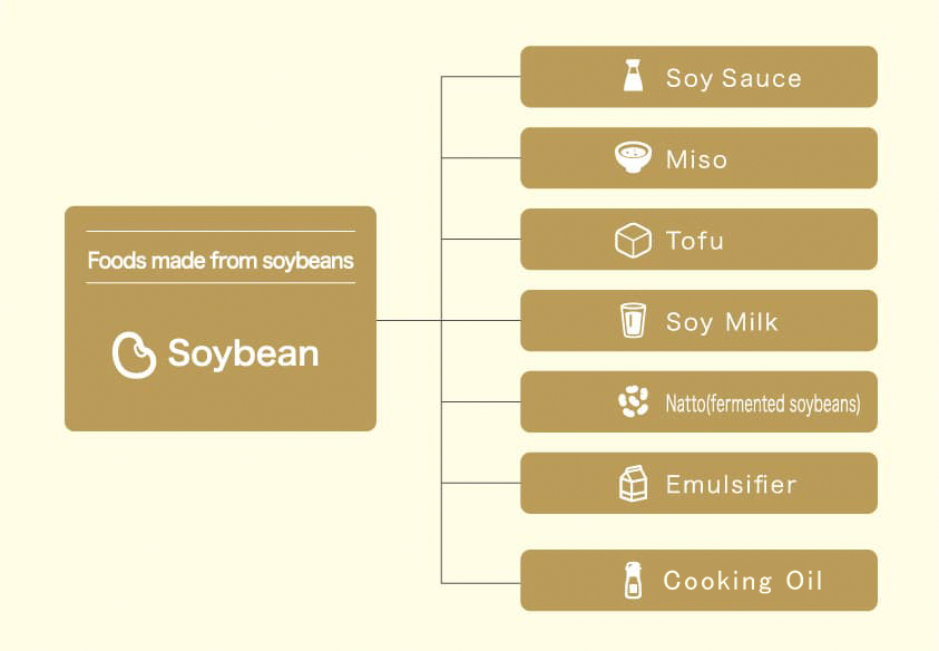 Foods made from soybeans
