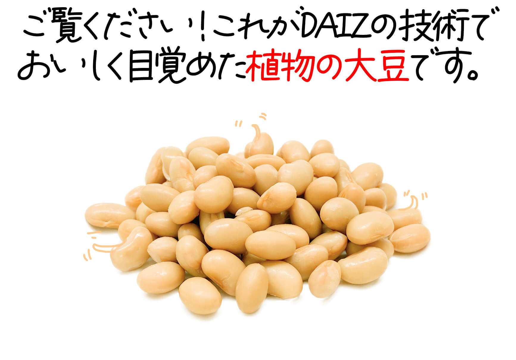 ご覧ください！これがDAIZの技術で目覚めた植物の大豆です。